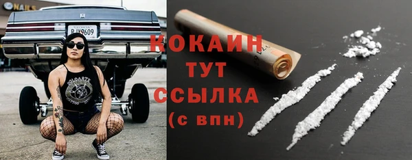 ПСИЛОЦИБИНОВЫЕ ГРИБЫ Костерёво