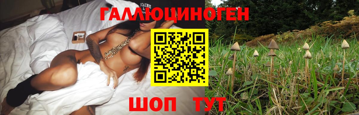 Рязань  Галлюциногенные грибы мухоморы  Вход с VPN 