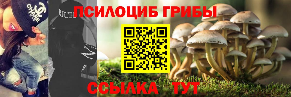 Псилоцибиновые грибы MAGIC MUSHROOMS Рязань